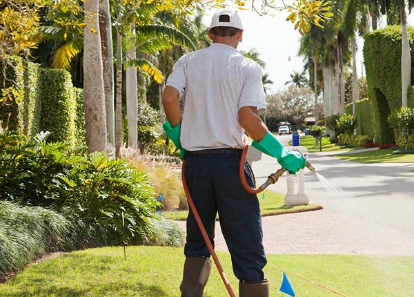 About Emeigh PA Pest Control Pros